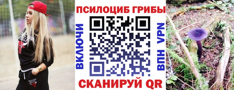 блэк спрут как зайти  купить наркотик  Лысьва  Галлюциногенные грибы Psilocybe 